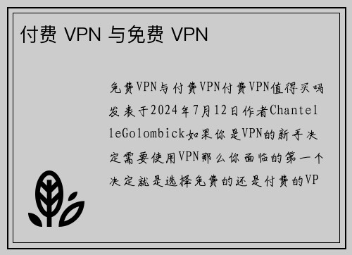 付费 VPN 与免费 VPN